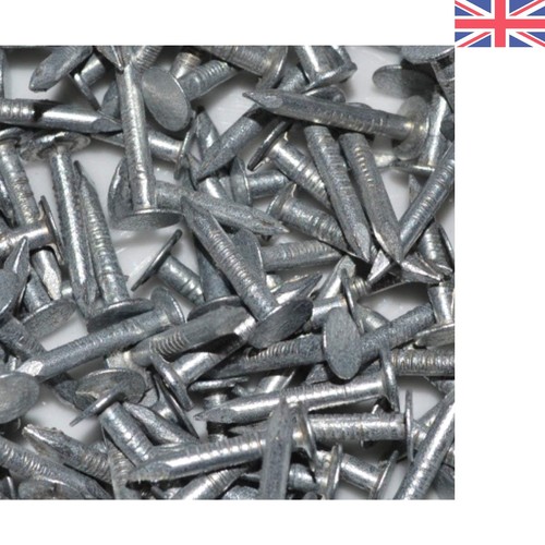 Galvanised roof shed nails - roof,